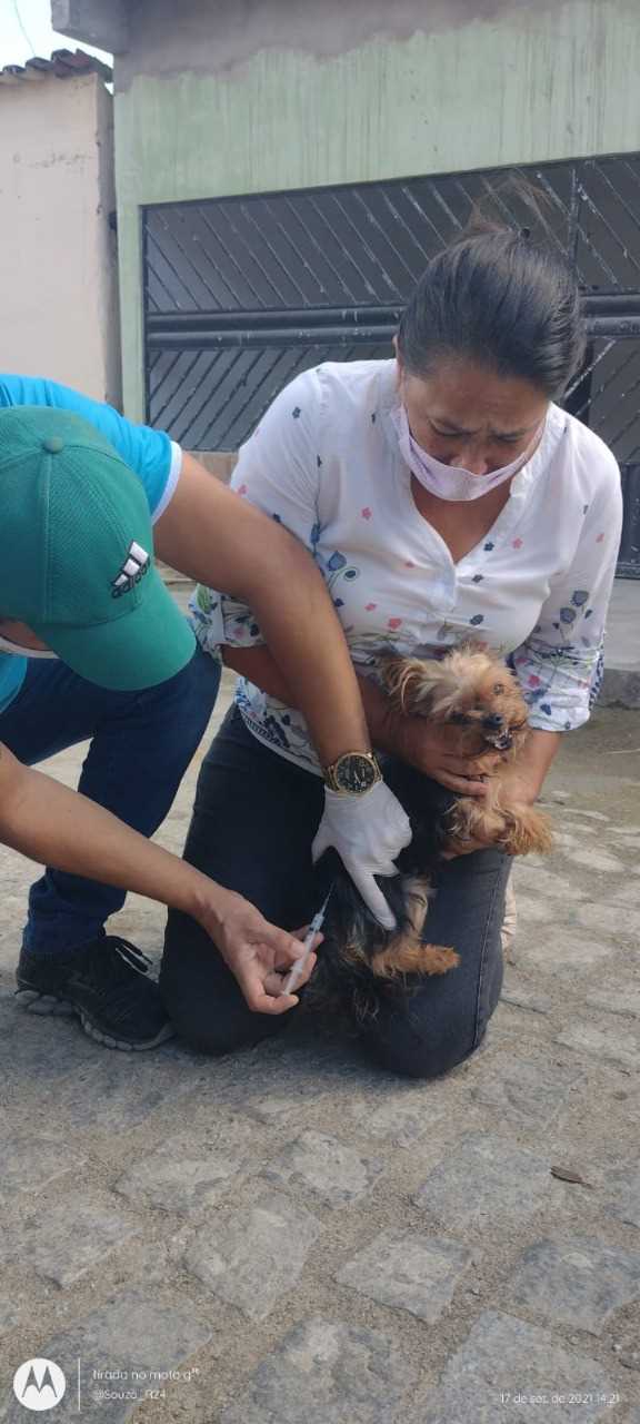 Camacã: Prefeitura realiza campanha de Vacinação antirrábica